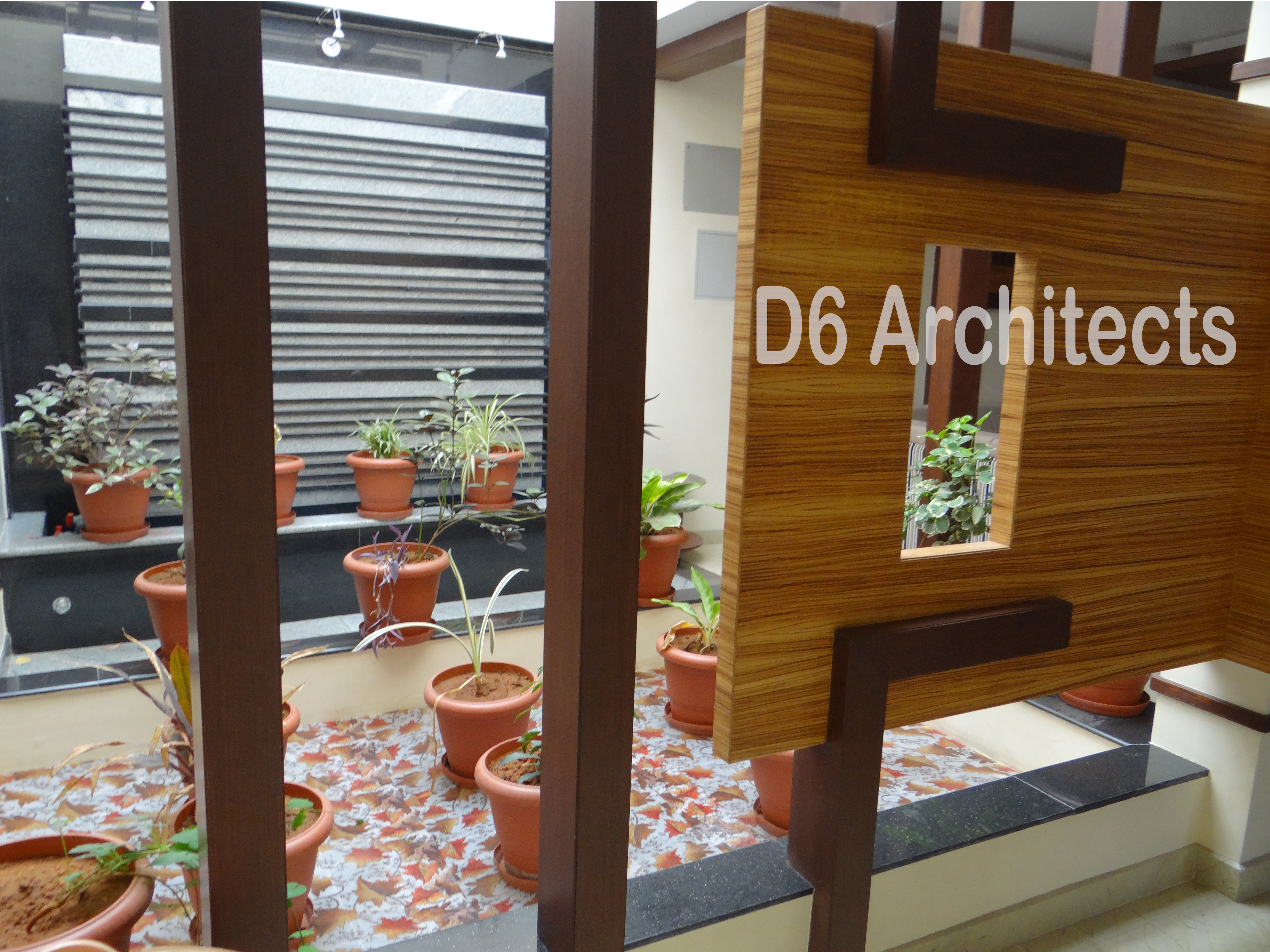 D6 Architects